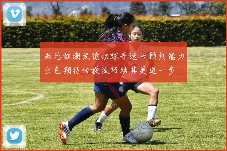 老范称谢泼德切球手速和预判能力出色期待传授技巧助其更进一步