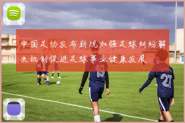 中国足协发布新规加强足球纠纷解决机制促进足球事业健康发展