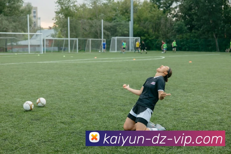 多媒体互动体验