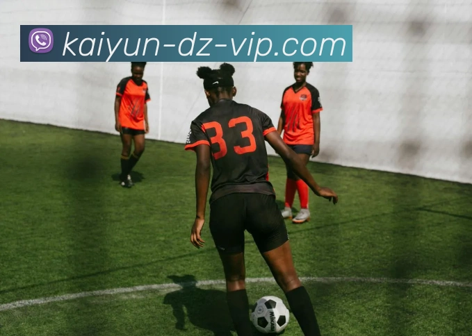 开云APP 高清赛事图